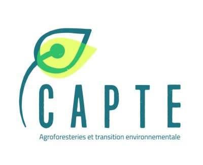 Image / illustration